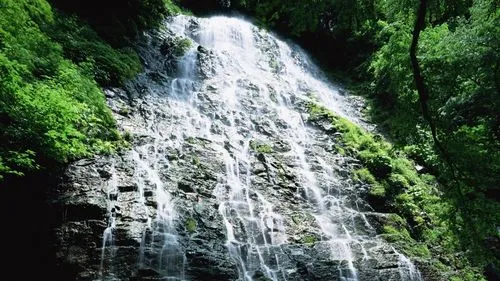 精密独特独特